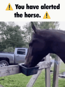 horse ping