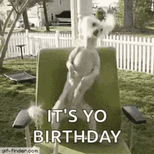 Its Your Birthday Dog GIF - Its Your Birthday Dog Happy GIFs