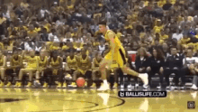 michael porter jr nba michael porter jr nba