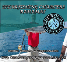 Spearfishing Charters Bahamas Deep Sea Fishing Bahamas GIF - Spearfishing Charters Bahamas Deep Sea Fishing Bahamas Best Charter Fishing GIFs