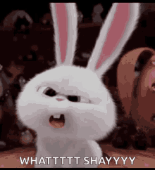 What Shayy What Did You Say GIF - What Shayy What Did You Say Cant Hear You GIFs