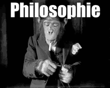 Monkey Philosophe GIF - Monkey Philosophe Singe Philosophe GIFs