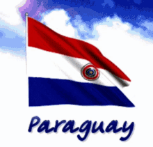 Albirroja Paraguay GIF - Albirroja Paraguay Flag GIFs