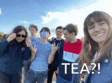 Tea Group Picture GIF - Tea Group Picture Poppy Tea GIFs