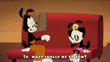 Animaniacs So What Should We Do Now GIF - Animaniacs So What Should We Do Now What Should We Do Now GIFs
