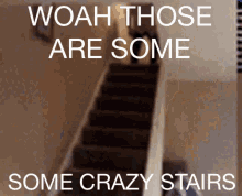 Crazy Stairs Dumb GIF - Crazy Stairs Stairs Dumb GIFs