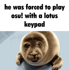 Crying Seal Lotus Keypad GIF - Crying Seal Lotus Keypad Osu GIFs