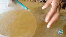 Agua Suja Dirty Water GIF - Agua Suja Dirty Water Agua Potavel GIFs