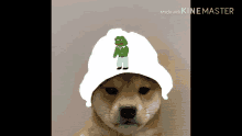 Shiba Dog GIF - Shiba Dog Cute GIFs