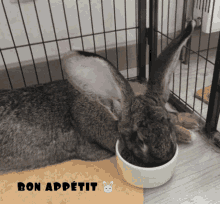 Bon Appétit Enjoy Your Meal GIF - Bon Appétit Enjoy Your Meal Bunny GIFs
