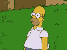 The Simpsons Homer GIF - The Simpsons Homer Bush GIFs