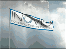 Inovio Flag GIF - Inovio Flag Waving GIFs