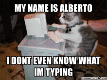 Alberto My Name Is Alberto GIF - Alberto My Name Is Alberto Typing GIFs