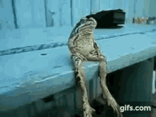 Epic Frog GIF - Epic Frog Dancing GIFs