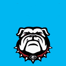 Bulldog Georgia Bulldogs GIF - Bulldog Georgia Bulldogs Uga GIFs