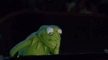 Sad Kertmit GIF - Sad Kertmit Stress GIFs