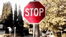 Stop Stop The Madness GIF - Stop Stop The Madness GIFs