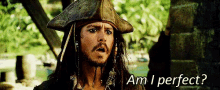 Johnny Depp Pirate GIF - Johnny Depp Pirate Pirates Of The Carribean GIFs