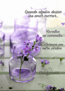 Quotes Collect The Seeds GIF - Quotes Collect The Seeds Flowers GIFs