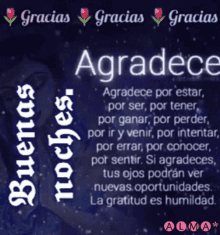 gracias agradece buenas noches thanks thank you gracias agradece buenas noches thanks thank you