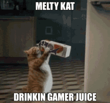 Melty Kat Drinkin Gamer Juice GIF - Melty Kat Drinkin Gamer Juice Gamer Juice GIFs
