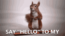 Say Hello To My Little Friend Hello GIF - Say Hello To My Little Friend Hello Hi GIFs