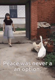 Peace Was Never An Option Goose GIF - Peace Was Never An Option Goose Chase GIFs