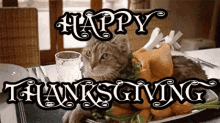 Happy Thanksgiving Cat GIF - Happy Thanksgiving Cat Turkey GIFs