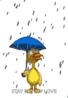 duck rainy day raining stay dry umbrella