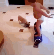 Baby Hoverboard GIF - Babies Hoverboard Ride GIFs