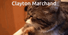 Clayton Marchand Big Ben GIF - Clayton Marchand Clayton Big Ben GIFs