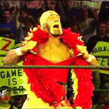 Hulk Hogan Wwe Champion GIF - Hulk Hogan Wwe Champion Wwe GIFs
