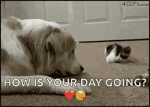 Hows Your Day Going GIFs | Tenor