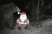 Bear Santa Claus GIF - Bear Santa Claus Funny GIFs