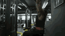 greekphysiquetweez tweez greekphysique latpulldowns backday
