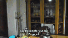 My Friend Chasing My Dog With A Toy Helicopter,Lol. GIF - Toy Helicopter Dog GIFs