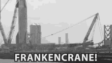 Its Alive Frankencrane GIF - Its Alive Frankencrane Frankenstine GIFs