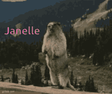 Janelle Beaver GIF - Janelle Beaver Yelling GIFs
