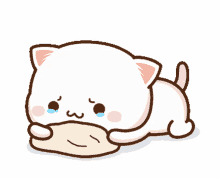 mochi mochi peach cat peach cat crying sad bite cloth