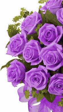 Roses Multcolor GIF - Roses Multcolor Love You GIFs