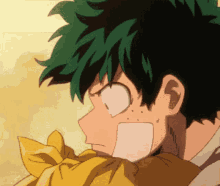 deku hero