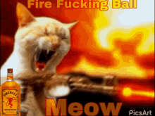 Fireball Cats GIF - Fireball Cats Guns GIFs