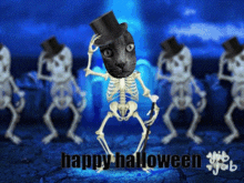 happy halloween skeleton skulls sugar cats