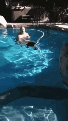 Deeko Swimming Doggo Swim GIF - Deeko Swimming Deeko Swimming GIFs