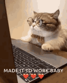 Angry Cat GIF - Angry Cat Working GIFs