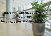Interior Plantscapes Design In Danville GIF - Interior Plantscapes Design In Danville GIFs