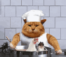 uwe hans j%C3%BCrgen cooks cat chef cook