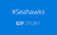 Seattle Seahawks Gif Story GIF - Seattle Seahawks Hawks GIFs