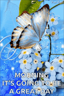 Morning Great Day GIF - Morning Great Day Butterflies GIFs