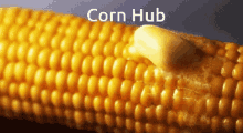 Corn Corn Hub GIF - Corn Corn Hub Food GIFs
